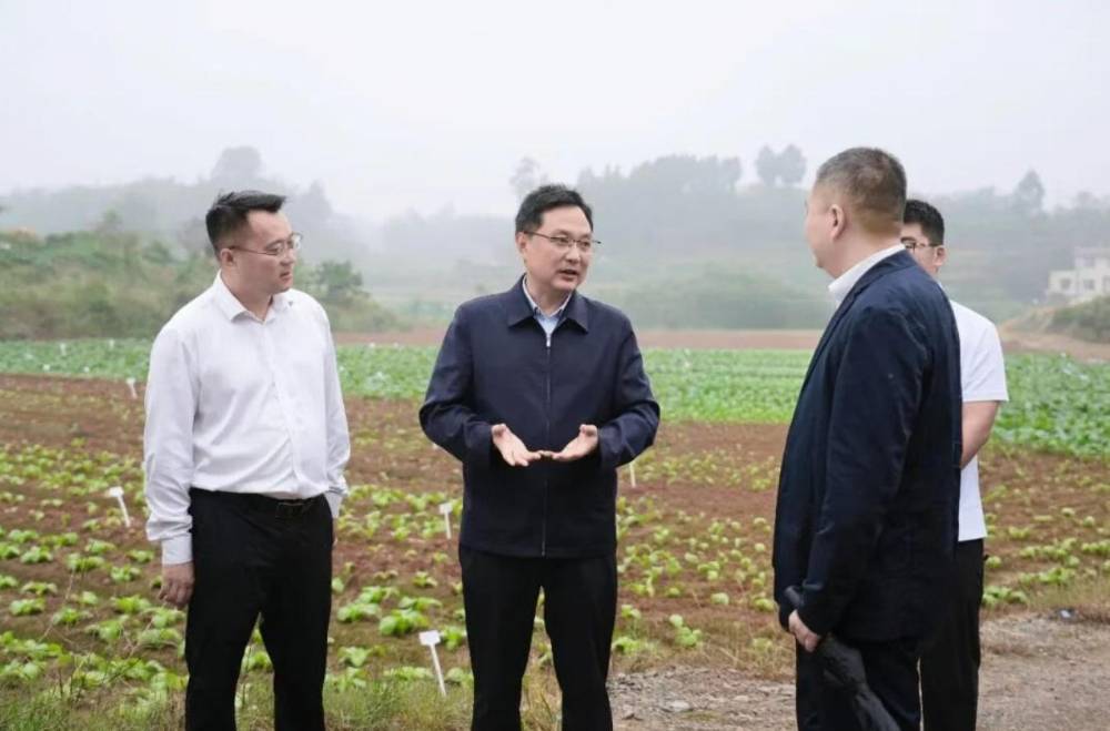 璧山区领导前往健龙镇调研经济社会发展情况